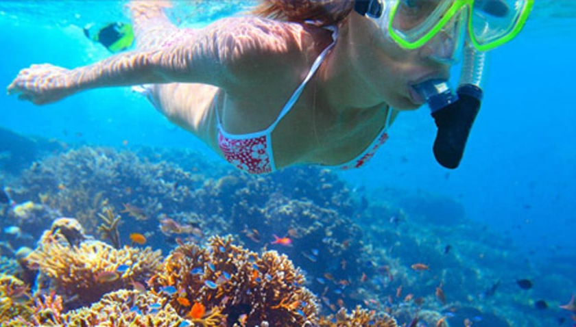 Dany Island, Vanuatu