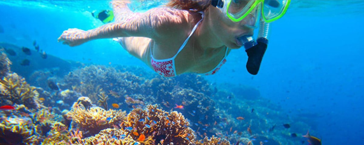 Dany Island, Vanuatu